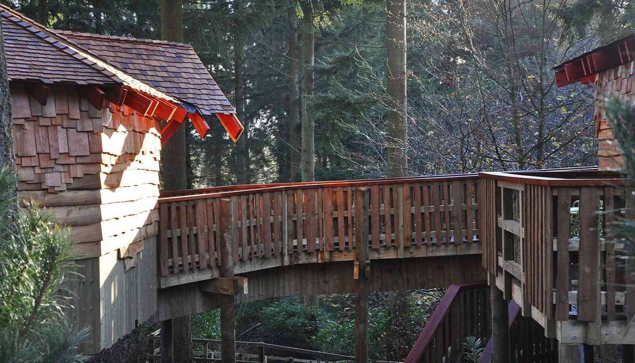 Elevated wooden walkway connects two rustic treehouse cabins amid tall conifer trees, sunlight casting shadows; railings line the bridge above forest understory.