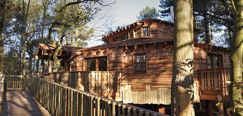 Wooden treehouse sits elevated among tall pine trees, featuring shingled walls, windows, and wraparound deck; a fenced walkway leads to the entrance in a sunlit forest setting.