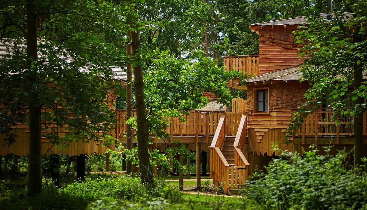 Elevated wooden treehouses stand connected by stairs and walkways, perched on stilts amid a lush green forest with dense trees and undergrowth, sunlight filtering through leaves.