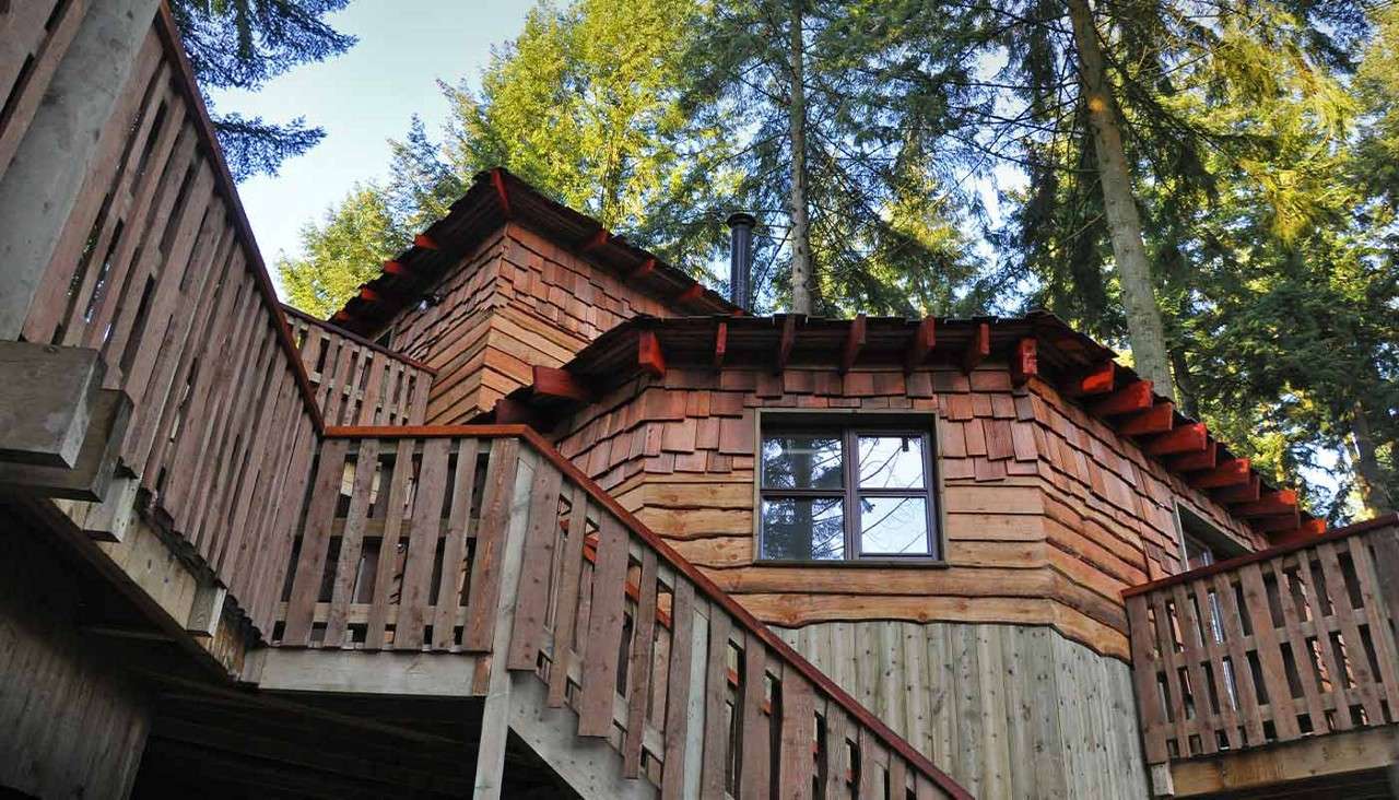 Wooden cabin perches elevated with slatted railings and a window, connected by stairs, set among tall evergreen trees in daylight.
