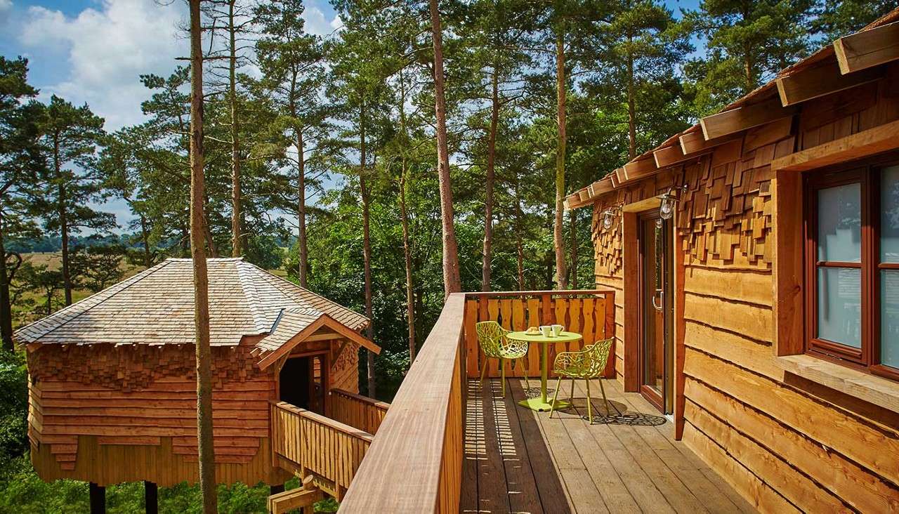 Wooden treehouse balcony hosts a small lime-green table and two chairs, set with cups, overlooking adjacent elevated cabin. Surrounded by tall pine trees in a forest, with walkway connecting structures.