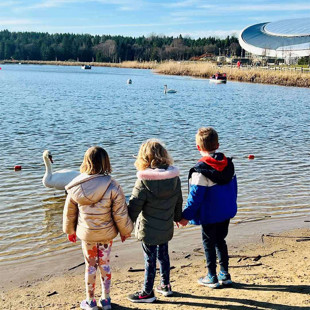 Image of children holding hands beside the lake at Longford Forest.