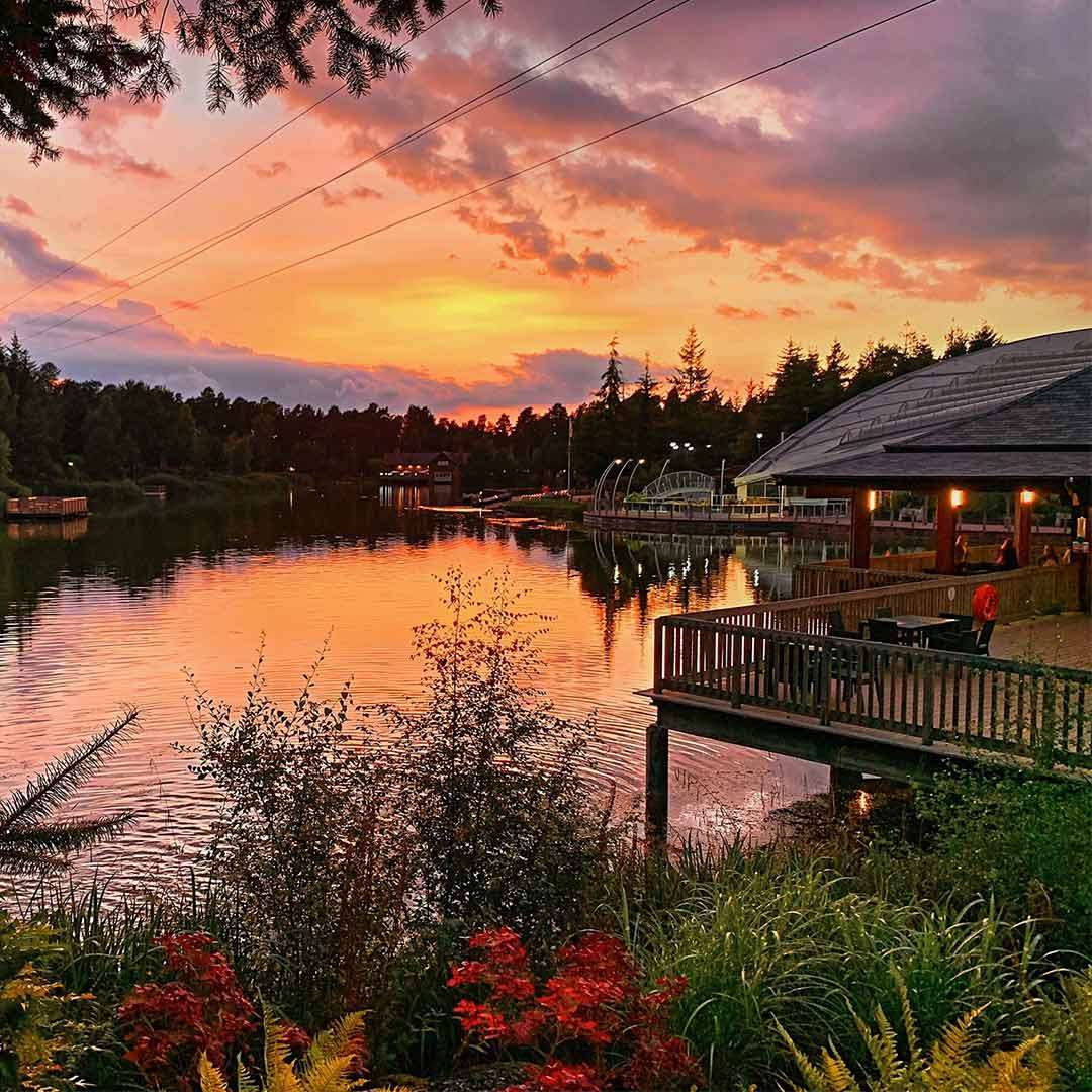 Sunset sky reflects on a calm lake, coloring water orange. A wooden deck with lights and a person overlooks the shore, amid garden plants, trees, arched footbridge, and distant buildings.