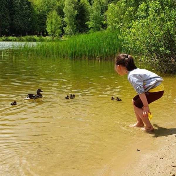 Girl crouches and watches a duck leading ducklings swim near shore, holding a yellow toy. Scene set at a calm, shallow lake bordered by reeds and green forest.