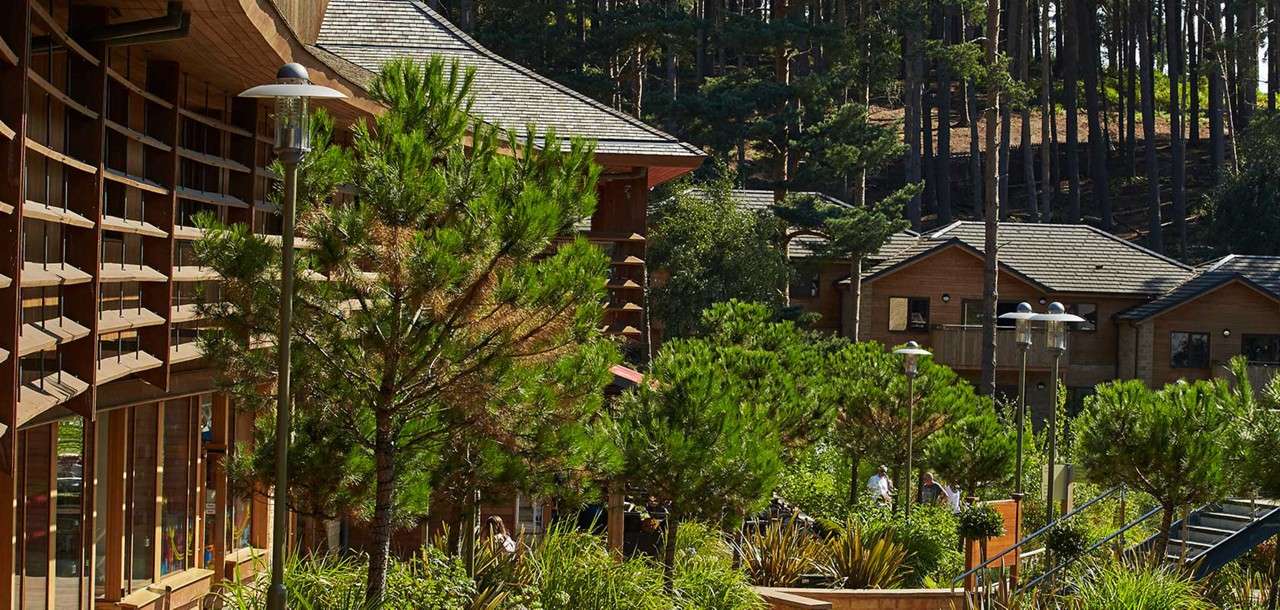 Wooden lodge buildings sit among dense evergreens, flanking a landscaped walkway with stairs and modern lampposts. People stroll below tall pines on a sunny day within a forested hillside resort.