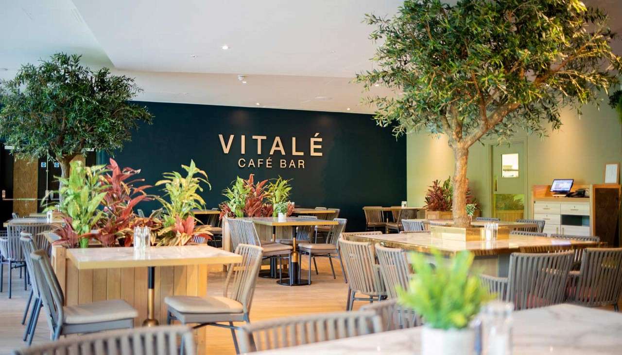 Dining tables and chairs sit neatly arranged, surrounded by potted plants and indoor trees, in a spacious modern café; a dark feature wall displays the text: VITALÉ CAFÉ BAR; counter and door behind.