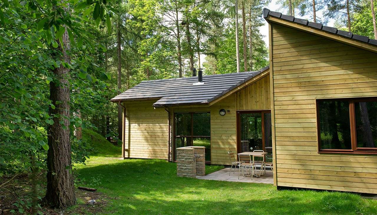 The exterior of an Forest Lodge amongst the trees