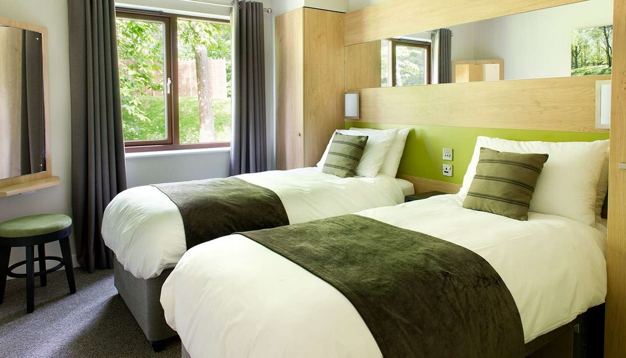 Two twin beds sit neatly made with white linens and green throws; they face a wooden headboard. Around them, windows with curtains, wardrobe, mirror, and stool overlook leafy trees outside.