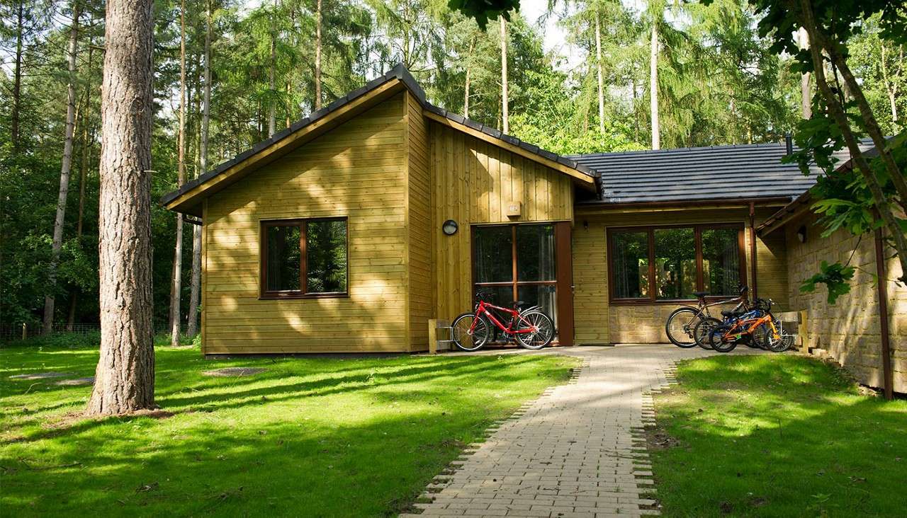 Wooden cabin sits with several bicycles leaning by the entrance, in a sunlit forest clearing with tall trees and a paved path.