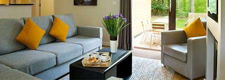 Grey sofa with yellow cushions faces black coffee table displaying tea tray and flowers; armchair nearby; sliding doors open to a patio and garden.