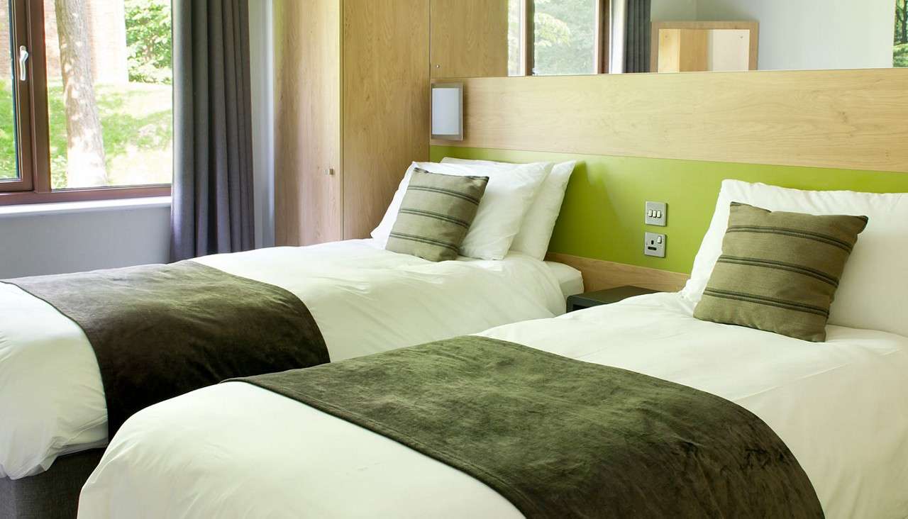 Twin beds rest side-by-side, topped with white linens, green throws, and striped cushions; surrounded by wood paneling, lime-green headboard, bedside outlets, and large curtained windows overlooking trees.