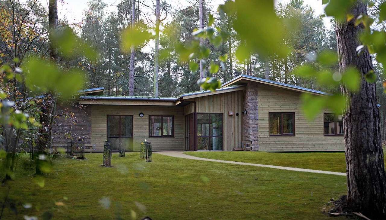 Modern wooden cabin stands with large windows; a curved path crosses a mossy lawn as tall pines and foreground leaves surround it in a forest setting.