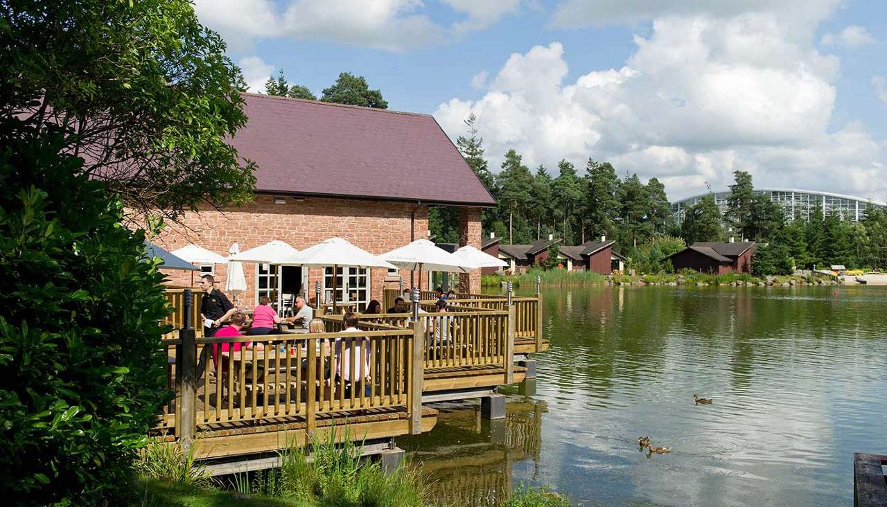 Outdoor restaurant terrace hosts diners under white umbrellas, eating. The deck extends over a calm lake with ducks. Surrounding context: brick building, wooden cabins, pines, and a cloudy sky.