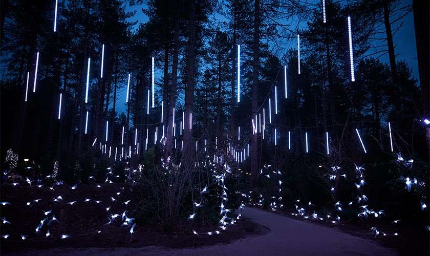 Vertical LED tubes glow, hanging suspended and illuminating a nighttime forest. Small lights sparkle along shrubs and a winding path among tall pines under a deep-blue sky.