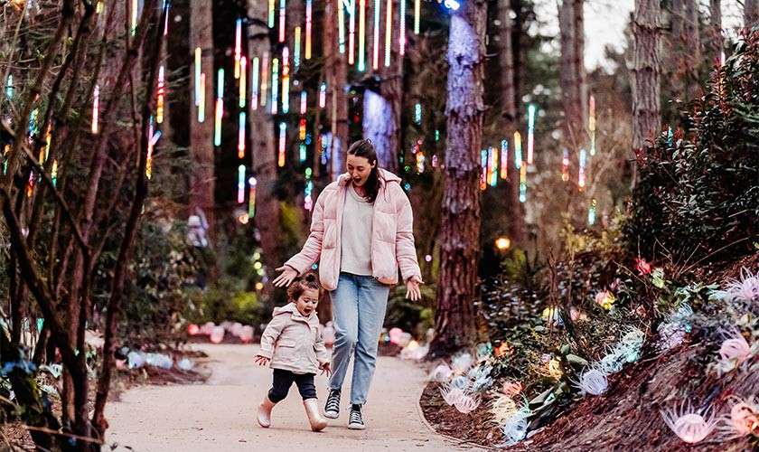 A woman and small child walk and play on a winding path, hands outstretched, surrounded by tall trees. Multicolored hanging light tubes and glowing ground decorations illuminate the forest setting.