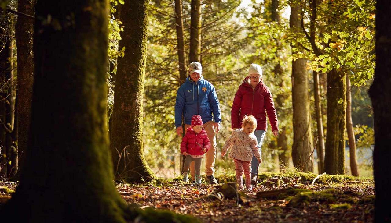 Family of two adults and two small children walk, the kids exploring sticks on the forest floor, within a sunlit woodland trail surrounded by tall trees, moss, and fallen leaves.