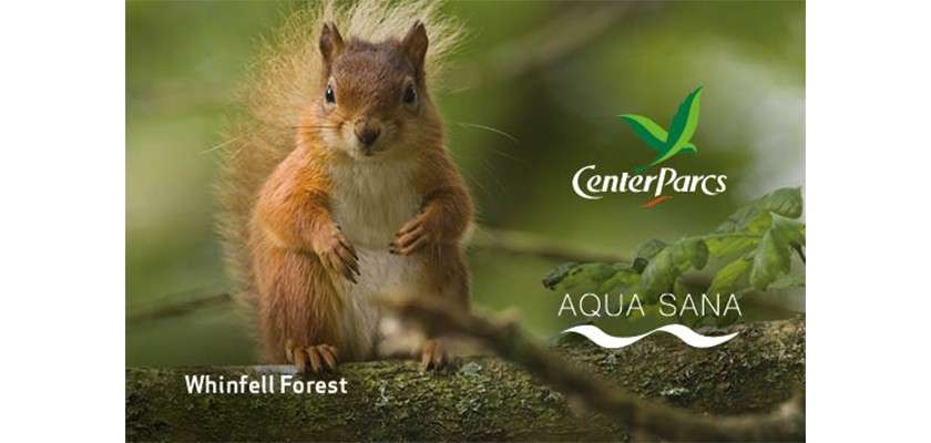 Red squirrel sits upright, paws tucked, on a mossy branch in a leafy forest. Text on image: CenterParcs; AQUA SANA; Whinfell Forest.