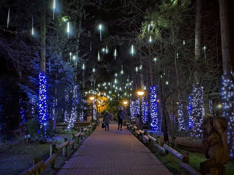 People walk under glowing icicle lights along a tree-lined path, nighttime. Blue and white string lights wrap trunks; warm lampposts line the walkway, fenced edges and benches in a park.