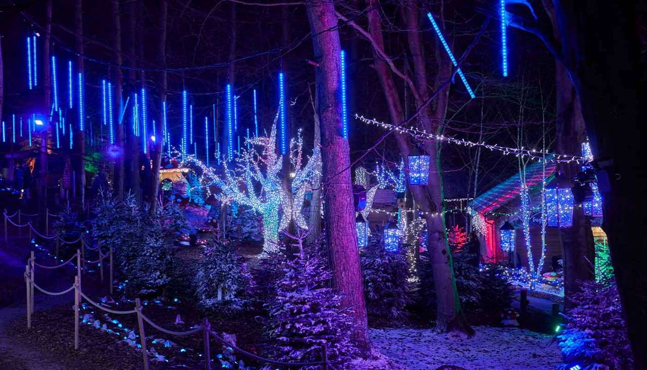 Wishlight Village at Whinfell Forest.