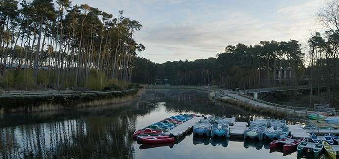 Paddleboats and kayaks sit moored at a dock, reflecting on calm water; tall pines line the banks, a small footbridge crosses nearby under a soft evening sky.