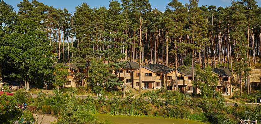 Wooden lodges nestle along a hillside, facing a small pond, while tall pine trees rise densely behind, under a clear sky; lush shrubs and paths surround the tranquil forest setting.
