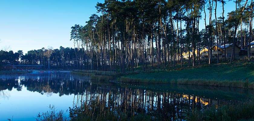 Tall pine trees reflect in a still lake, lining the shore. Wooden cabins sit among them to the right under a clear blue sky, with grassy banks and a fence.
