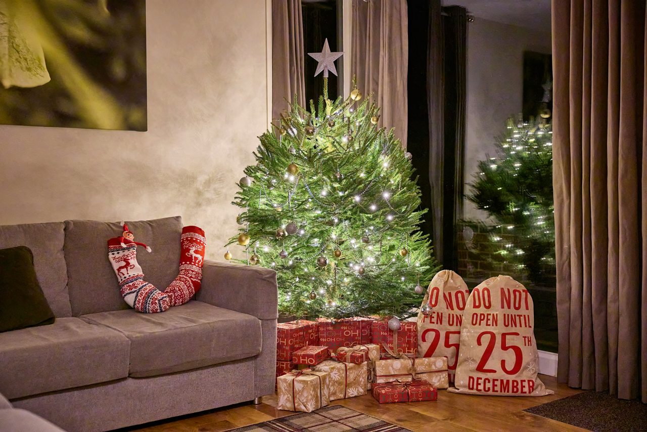 Family putting star on Christmas tree