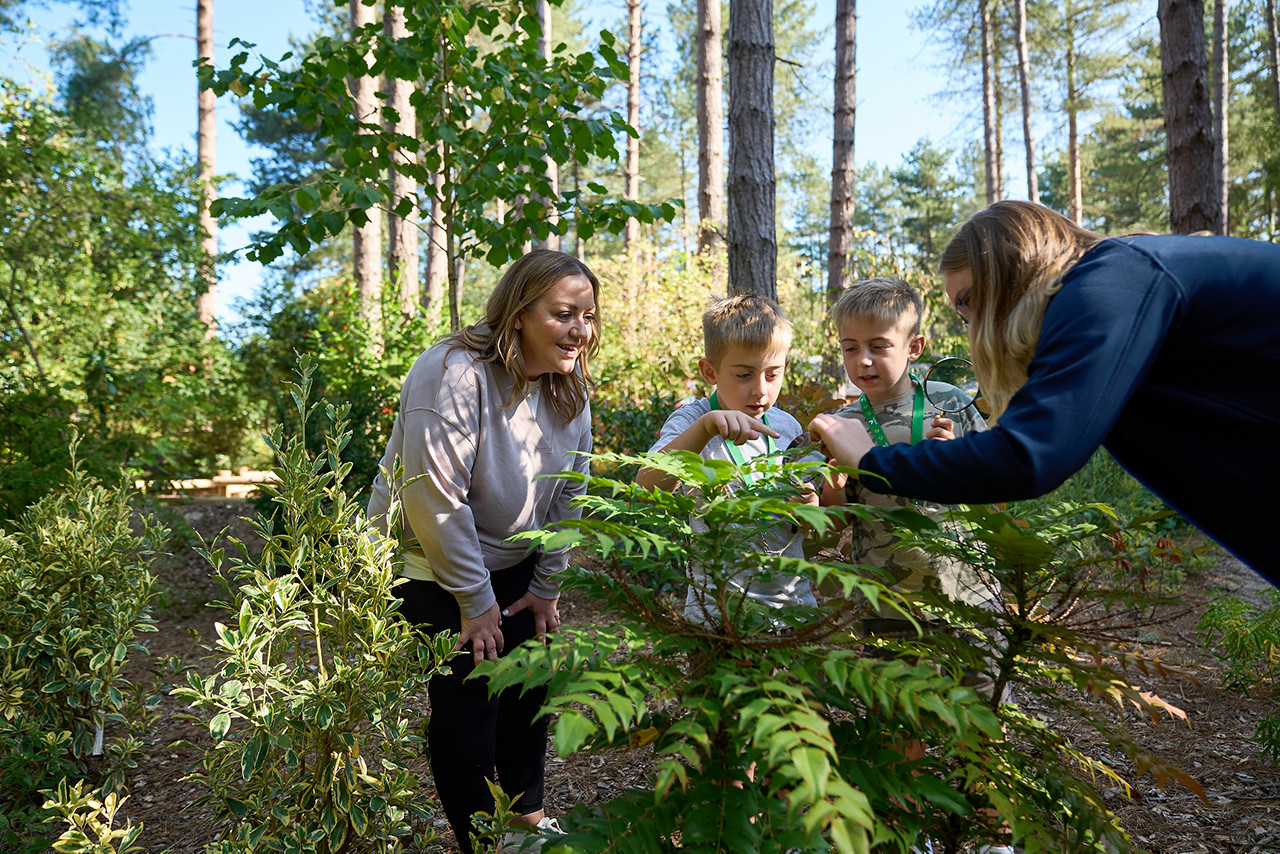 Toddler on his scooter.