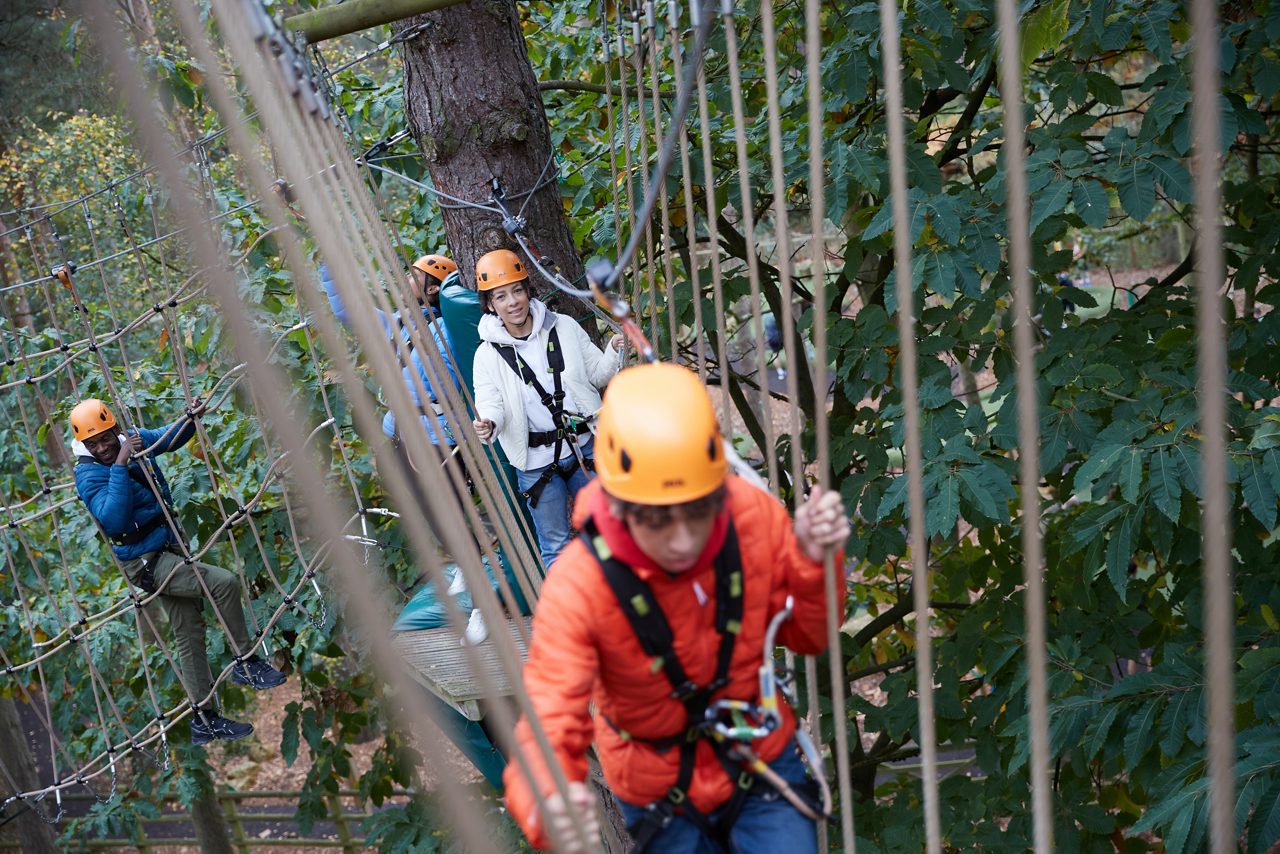 A family doing Aerial Adventure.
