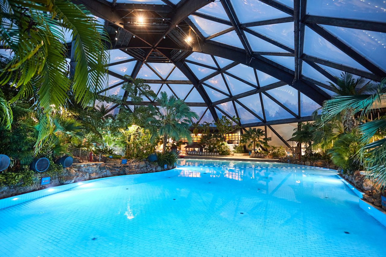 Indoor pool surrounded by tropical plants, all under a dome made of triangular windows.