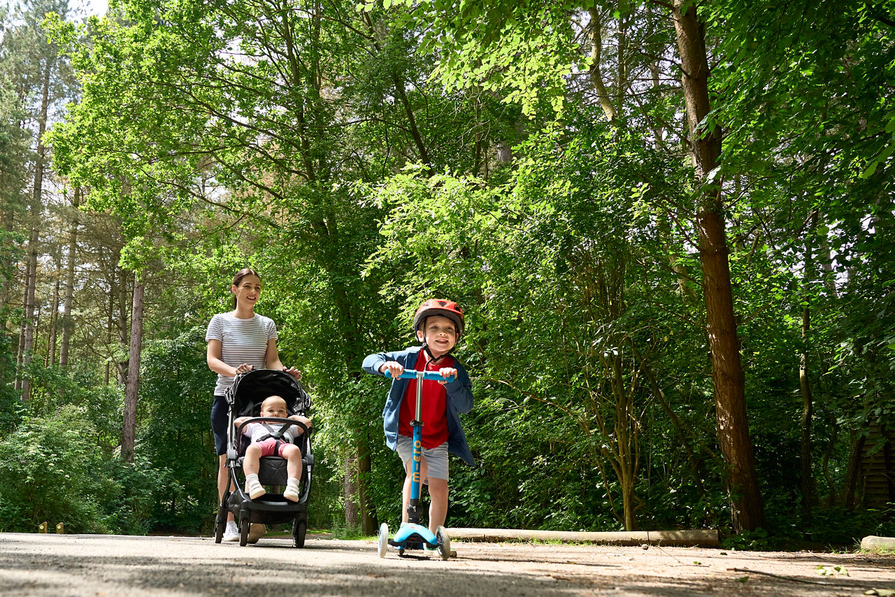 Center Parcs across the seasons