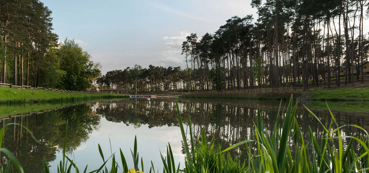 The lake at Woburn forest