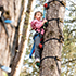 A girl climbing a tree with equipment