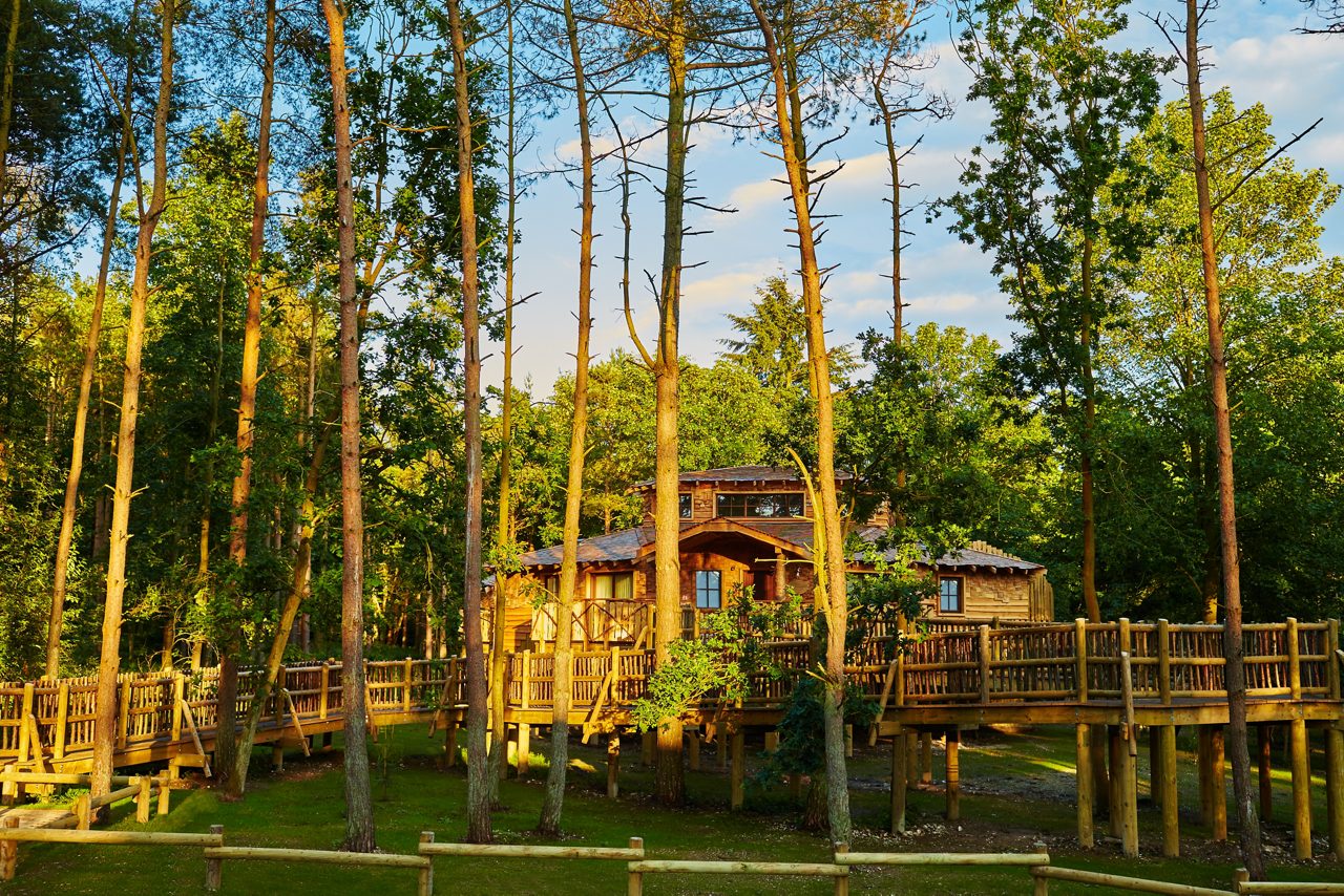 Treehouse lodges for your Winter Wonderland break