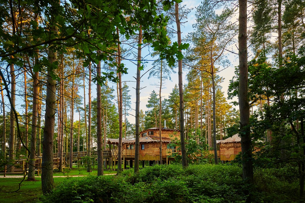 Treehouse Exterior