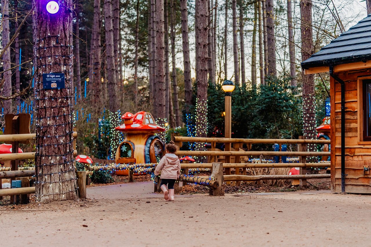 A family in the forest surrounded by fairy lights