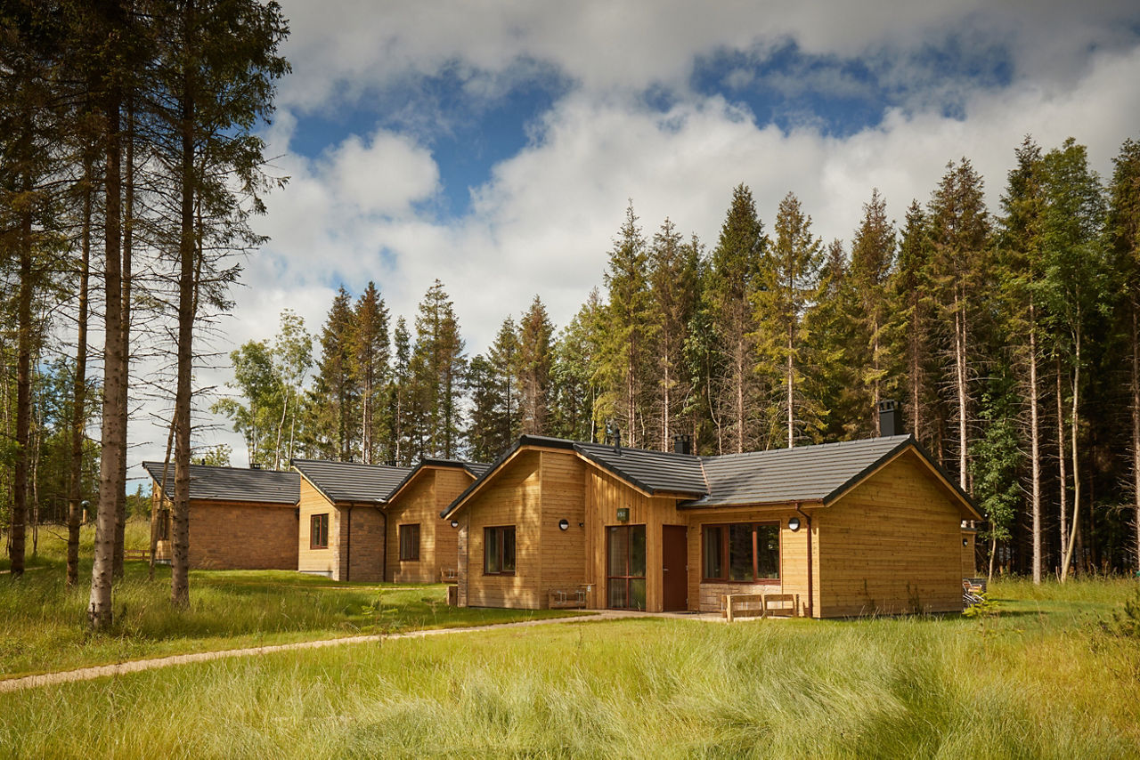 Woodland Lodge nestled in the forest