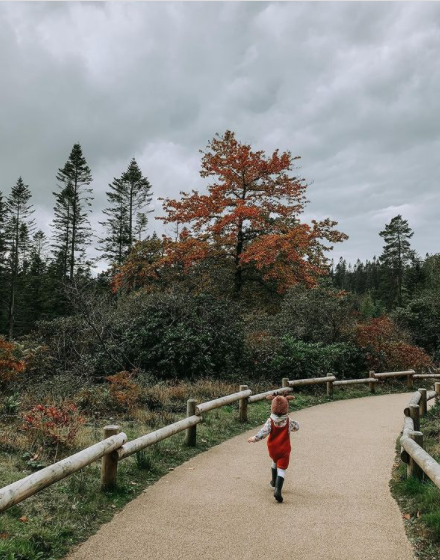 Child runs along a winding paved path, arms out, bordered by wooden railings; context: autumn forest with red-orange tree, evergreens, shrubs under overcast sky.
